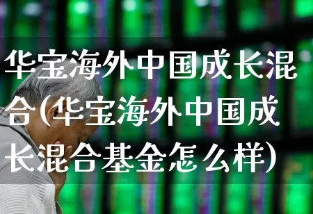 华宝海外中国成长混合(华宝海外中国成长混合基金怎么样)_https://www.heiljjianzu.com_创业板_第1张