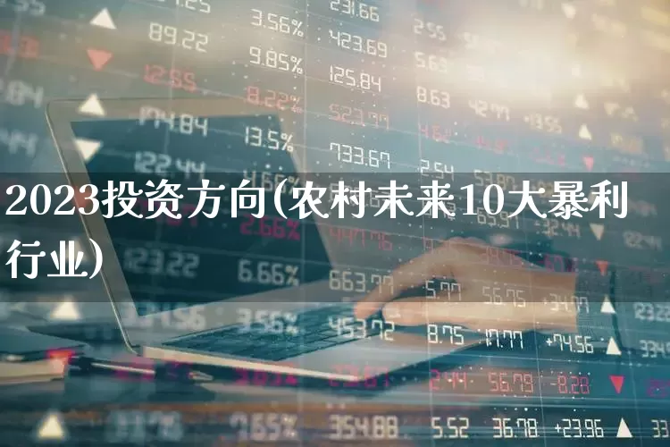 2023投资方向(农村未来10大暴利行业)_https://www.heiljjianzu.com_北交所_第1张