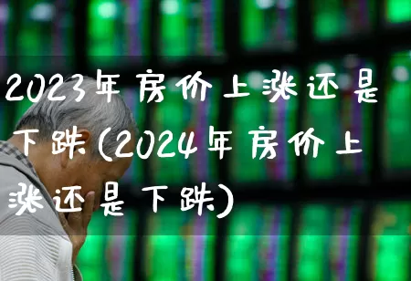 2023年房价上涨还是下跌(2024年房价上涨还是下跌)_https://www.heiljjianzu.com_创业板_第1张