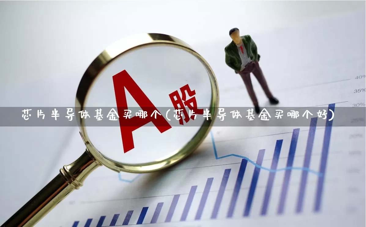 芯片半导体基金买哪个(芯片半导体基金买哪个好)_https://www.heiljjianzu.com_创业板_第1张
