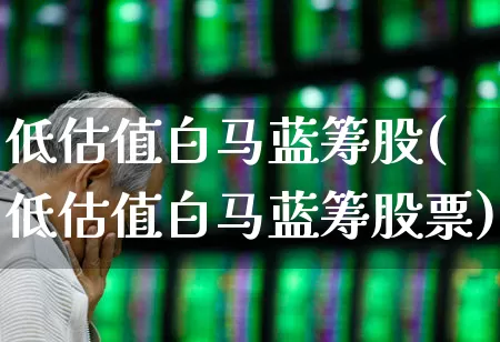 低估值白马蓝筹股(低估值白马蓝筹股票)_https://www.heiljjianzu.com_创业板_第1张