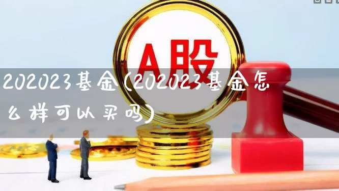 202023基金(202023基金怎么样可以买吗)_https://www.heiljjianzu.com_上交所_第1张