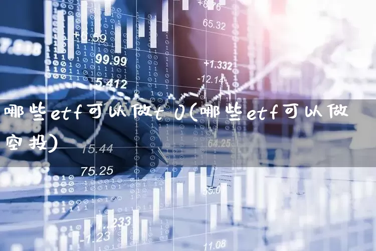 哪些etf可以做t 0(哪些etf可以做空投)_https://www.heiljjianzu.com_上交所_第1张