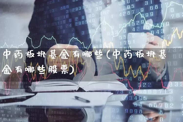 中药板块基金有哪些(中药板块基金有哪些股票)_https://www.heiljjianzu.com_深交所_第1张