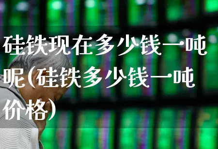 硅铁现在多少钱一吨呢(硅铁多少钱一吨价格)_https://www.heiljjianzu.com_深交所_第1张