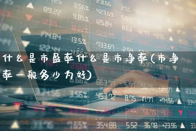 什么是市盈率什么是市净率(市净率一般多少为好)_https://www.heiljjianzu.com_创业板_第1张