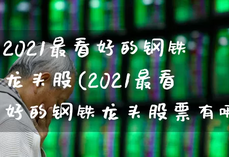 2021最看好的钢铁龙头股(2021最看好的钢铁龙头股票有哪些)_https://www.heiljjianzu.com_北交所_第1张