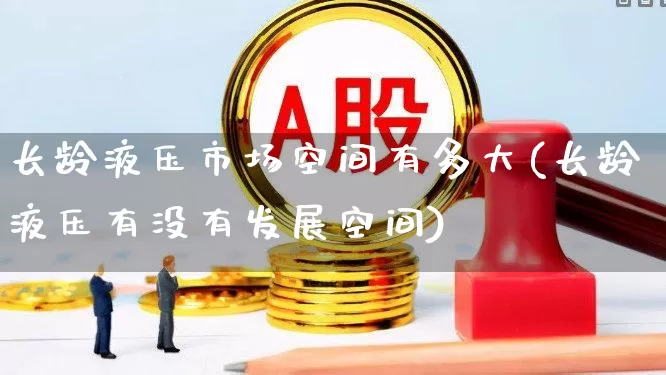 长龄液压市场空间有多大(长龄液压有没有发展空间)_https://www.heiljjianzu.com_创业板_第1张