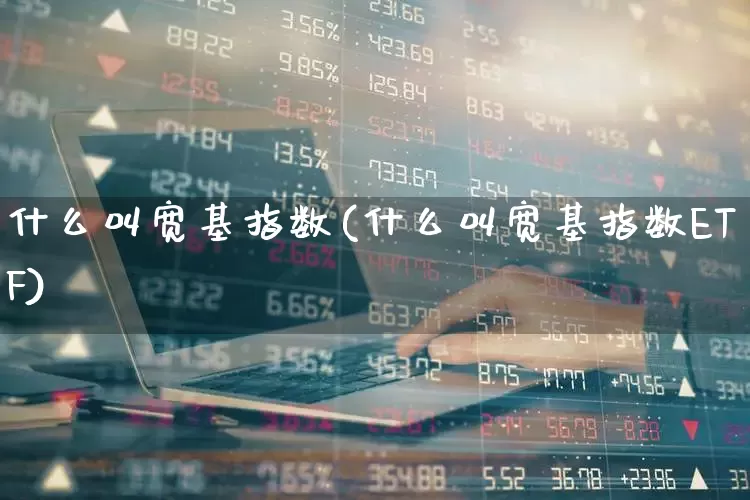 什么叫宽基指数(什么叫宽基指数ETF)_https://www.heiljjianzu.com_深交所_第1张