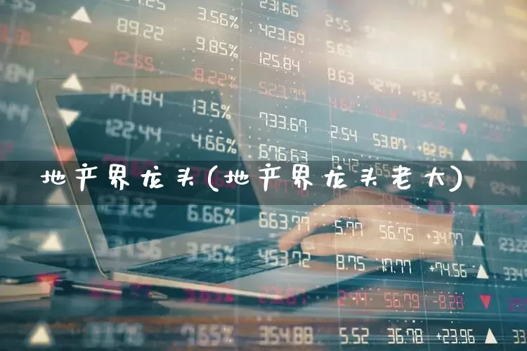 地产界龙头(地产界龙头老大)_https://www.heiljjianzu.com_上交所_第1张