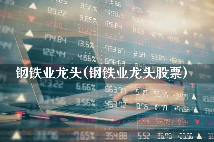 钢铁业龙头(钢铁业龙头股票)_https://www.heiljjianzu.com_深交所_第1张