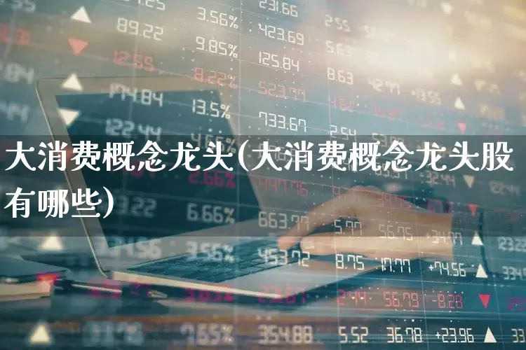 大消费概念龙头(大消费概念龙头股有哪些)_https://www.heiljjianzu.com_创业板_第1张
