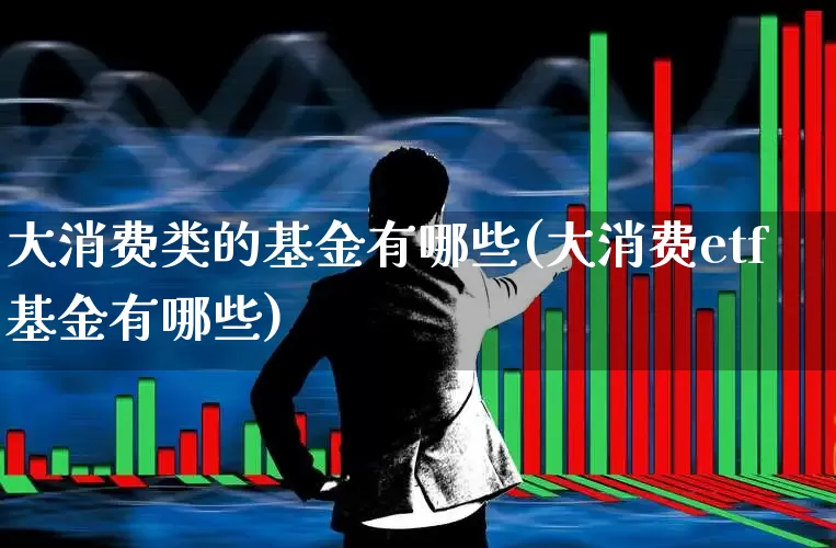 大消费类的基金有哪些(大消费etf基金有哪些)_https://www.heiljjianzu.com_上交所_第1张