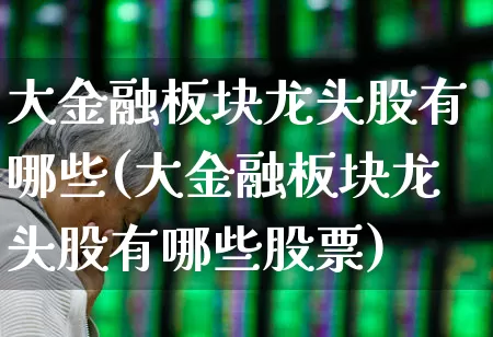 大金融板块龙头股有哪些(大金融板块龙头股有哪些股票)_https://www.heiljjianzu.com_深交所_第1张