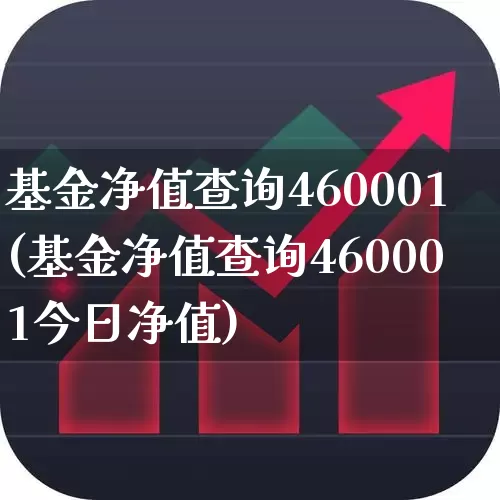 基金净值查询460001(基金净值查询460001今日净值)_https://www.heiljjianzu.com_创业板_第1张