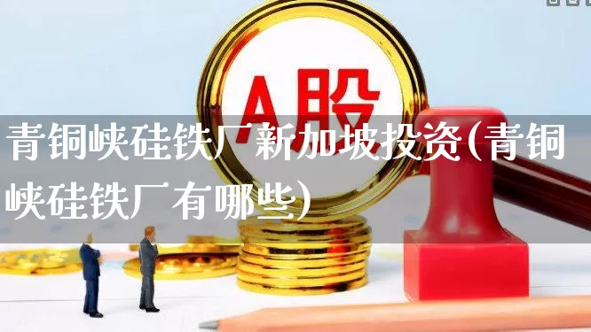 青铜峡硅铁厂新加坡投资(青铜峡硅铁厂有哪些)_https://www.heiljjianzu.com_上交所_第1张