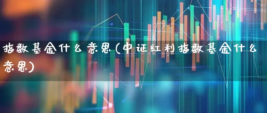 指数基金什么意思(中证红利指数基金什么意思)_https://www.heiljjianzu.com_深交所_第1张