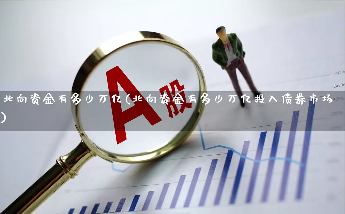 北向资金有多少万亿(北向资金有多少万亿投入债券市场)_https://www.heiljjianzu.com_深交所_第1张