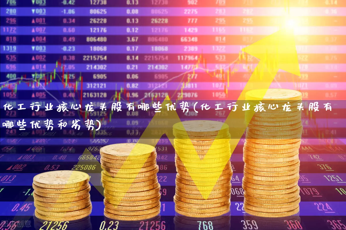 化工行业核心龙头股有哪些优势(化工行业核心龙头股有哪些优势和劣势)_https://www.heiljjianzu.com_深交所_第1张