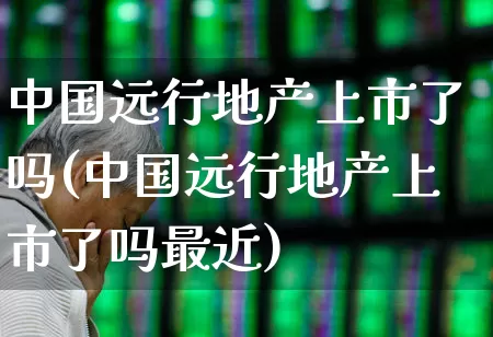 中国远行地产上市了吗(中国远行地产上市了吗最近)_https://www.heiljjianzu.com_科创板_第1张