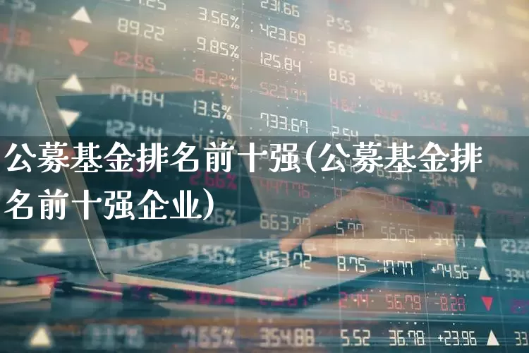 公募基金排名前十强(公募基金排名前十强企业)_https://www.heiljjianzu.com_上交所_第1张