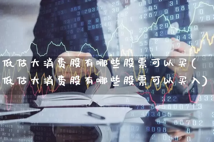 低估大消费股有哪些股票可以买(低估大消费股有哪些股票可以买入)_https://www.heiljjianzu.com_上交所_第1张