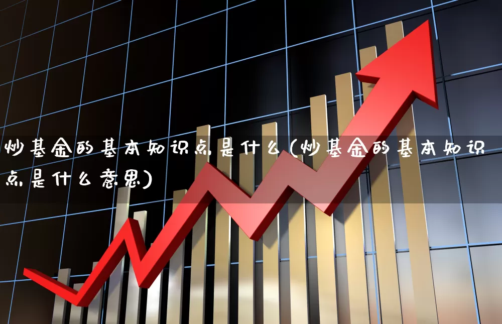 炒基金的基本知识点是什么(炒基金的基本知识点是什么意思)_https://www.heiljjianzu.com_深交所_第1张