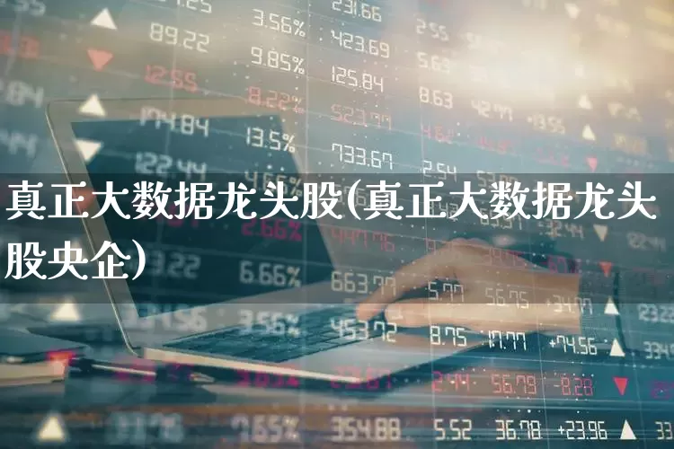 真正大数据龙头股(真正大数据龙头股央企)_https://www.heiljjianzu.com_北交所_第1张
