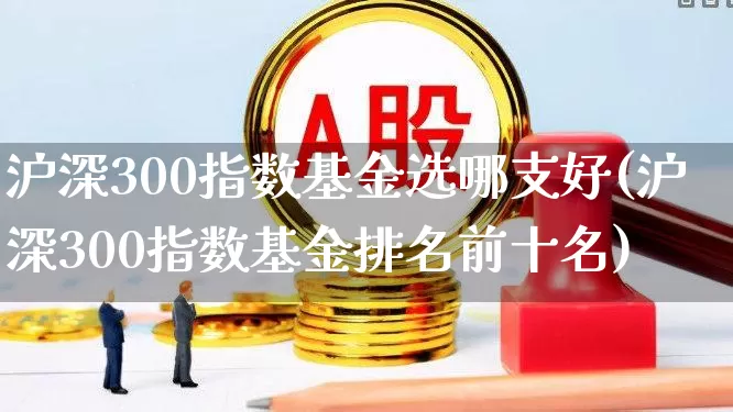 沪深300指数基金选哪支好(沪深300指数基金排名前十名)_https://www.heiljjianzu.com_深交所_第1张