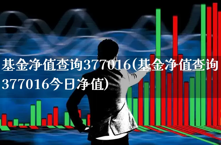 基金净值查询377016(基金净值查询377016今日净值)_https://www.heiljjianzu.com_上交所_第1张