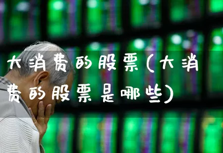 大消费的股票(大消费的股票是哪些)_https://www.heiljjianzu.com_上交所_第1张
