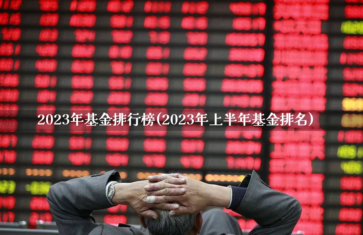 2023年基金排行榜(2023年上半年基金排名)_https://www.heiljjianzu.com_创业板_第1张