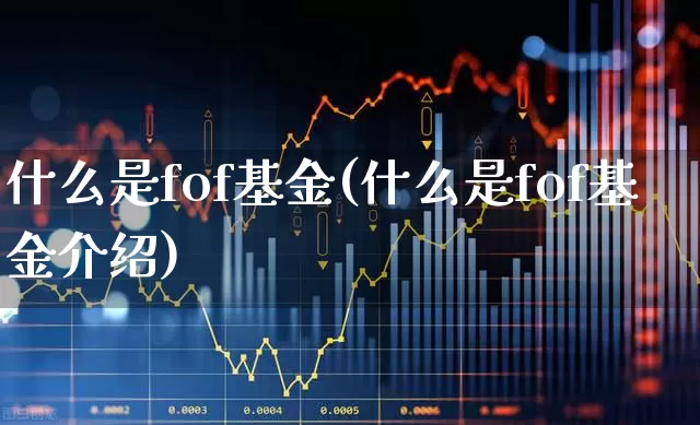 什么是fof基金(什么是fof基金介绍)_https://www.heiljjianzu.com_深交所_第1张