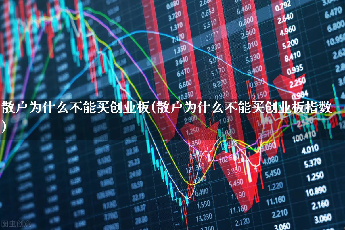 散户为什么不能买创业板(散户为什么不能买创业板指数)_https://www.heiljjianzu.com_创业板_第1张