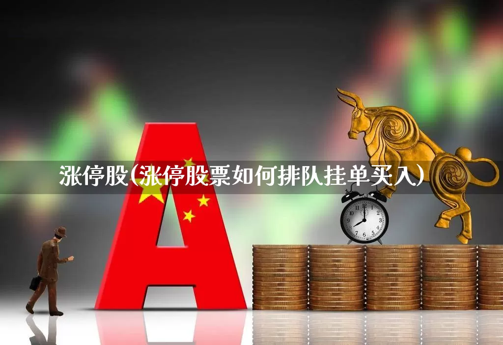 涨停股(涨停股票如何排队挂单买入)_https://www.heiljjianzu.com_深交所_第1张