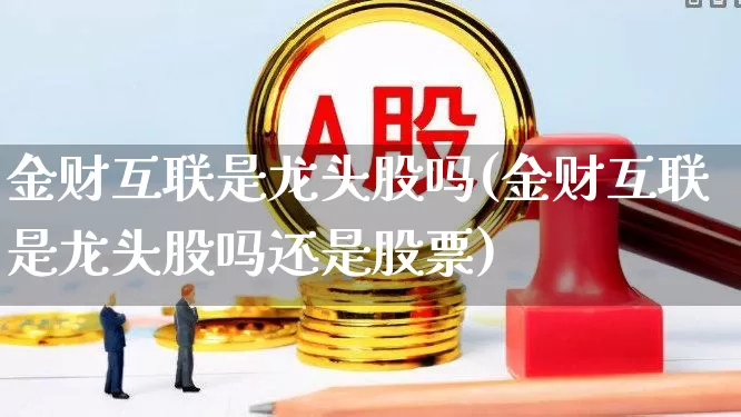 金财互联是龙头股吗(金财互联是龙头股吗还是股票)_https://www.heiljjianzu.com_上交所_第1张