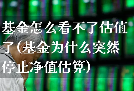 基金怎么看不了估值了(基金为什么突然停止净值估算)_https://www.heiljjianzu.com_上交所_第1张