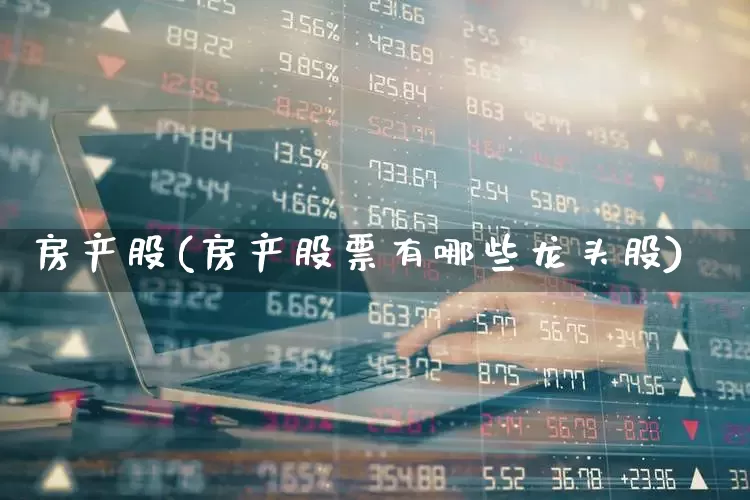 房产股(房产股票有哪些龙头股)_https://www.heiljjianzu.com_创业板_第1张