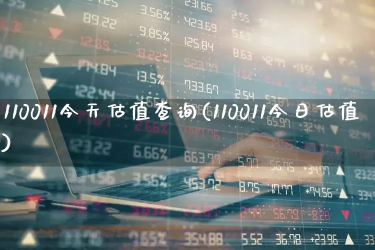 110011今天估值查询(110011今日估值)_https://www.heiljjianzu.com_科创板_第1张
