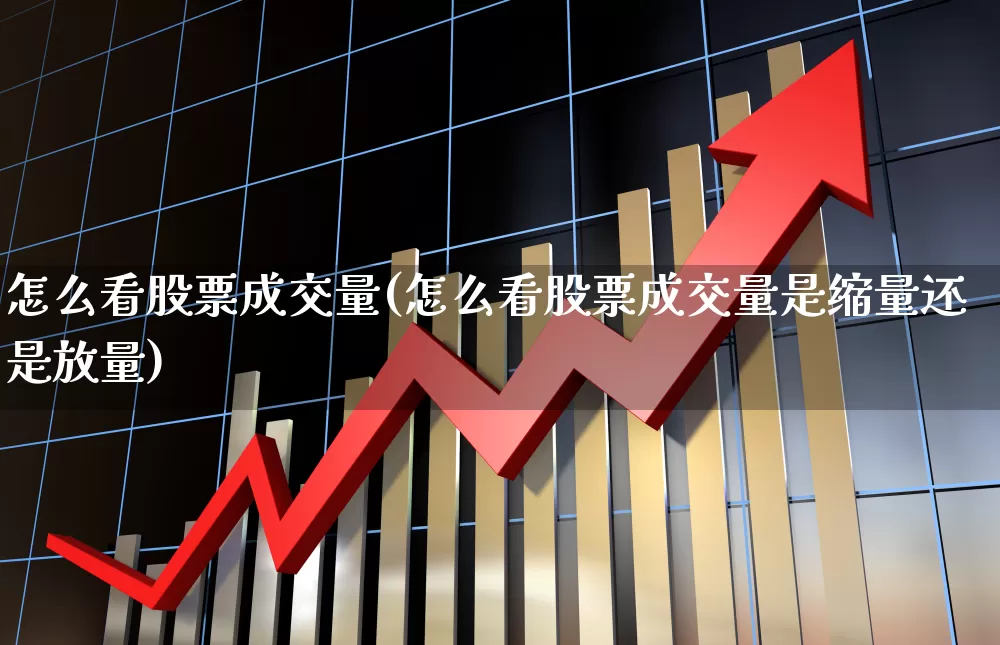 怎么看股票成交量(怎么看股票成交量是缩量还是放量)_https://www.heiljjianzu.com_科创板_第1张