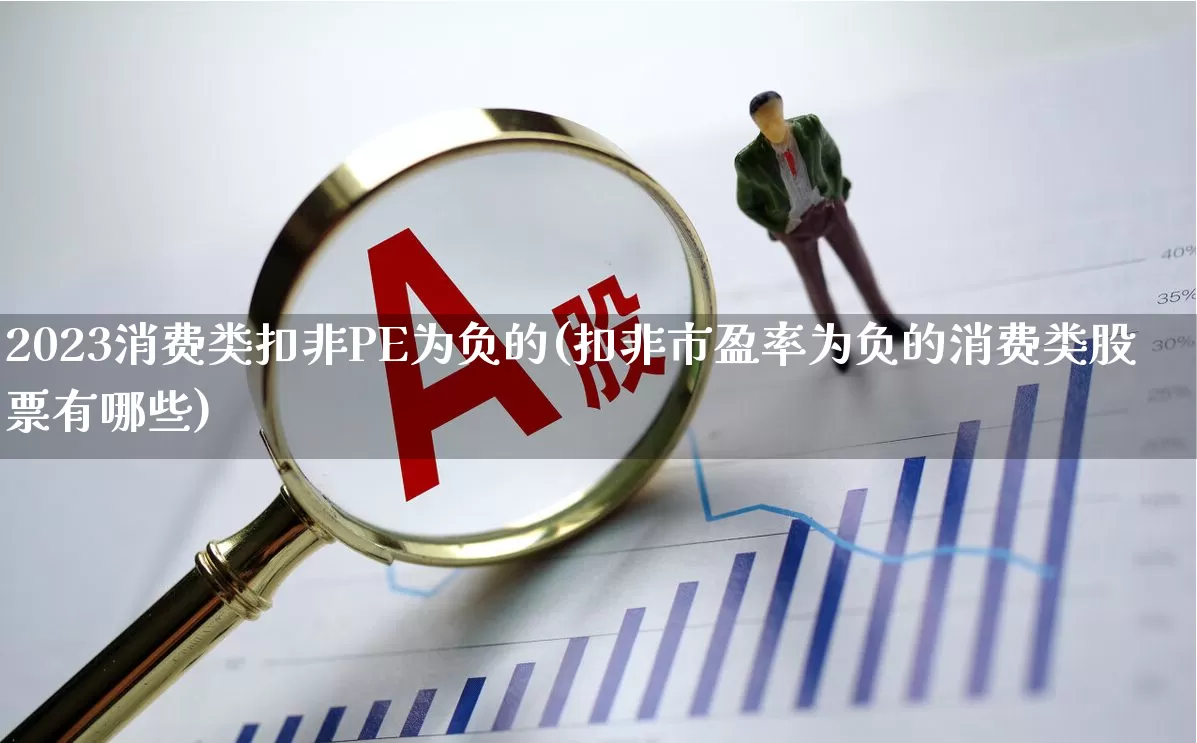 2023消费类扣非PE为负的(扣非市盈率为负的消费类股票有哪些)_https://www.heiljjianzu.com_上交所_第1张