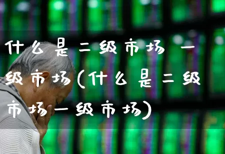 什么是二级市场 一级市场(什么是二级市场一级市场)_https://www.heiljjianzu.com_北交所_第1张