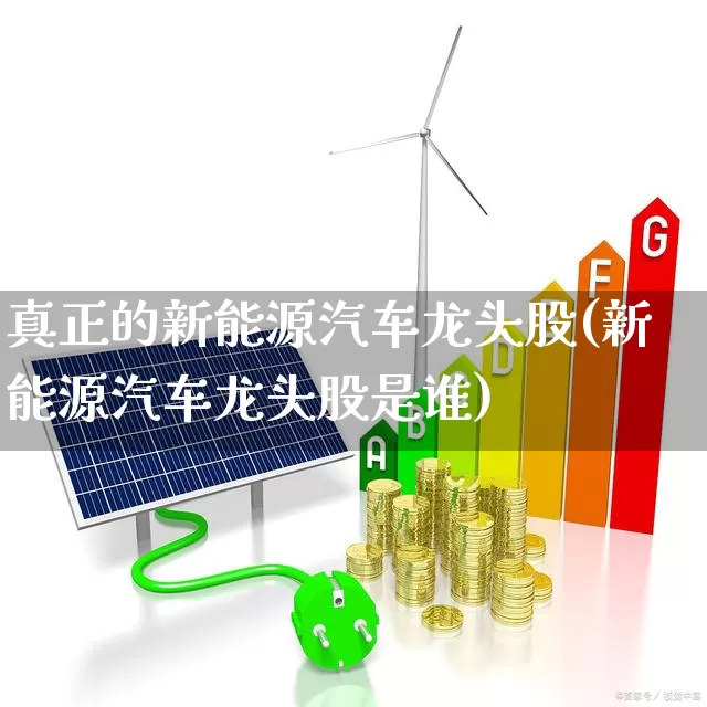 真正的新能源汽车龙头股(新能源汽车龙头股是谁)_https://www.heiljjianzu.com_科创板_第1张