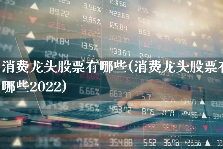 消费龙头股票有哪些(消费龙头股票有哪些2022)_https://www.heiljjianzu.com_科创板_第1张