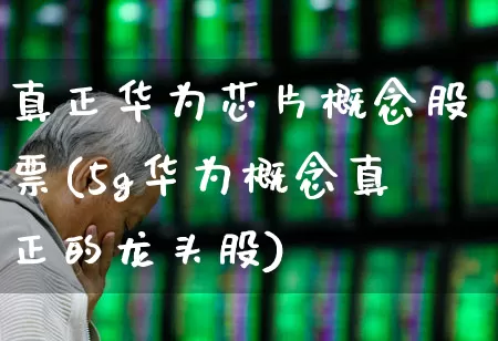 真正华为芯片概念股票(5g华为概念真正的龙头股)_https://www.heiljjianzu.com_深交所_第1张