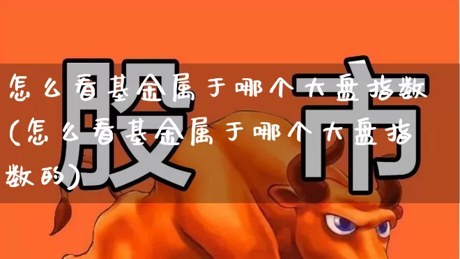 怎么看基金属于哪个大盘指数(怎么看基金属于哪个大盘指数的)_https://www.heiljjianzu.com_北交所_第1张