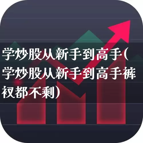 学炒股从新手到高手(学炒股从新手到高手裤衩都不剩)_https://www.heiljjianzu.com_北交所_第1张