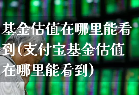 基金估值在哪里能看到(支付宝基金估值在哪里能看到)_https://www.heiljjianzu.com_深交所_第1张