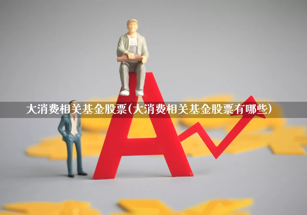大消费相关基金股票(大消费相关基金股票有哪些)_https://www.heiljjianzu.com_深交所_第1张