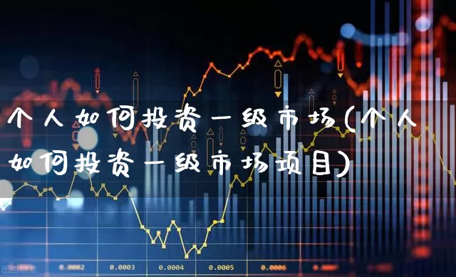 个人如何投资一级市场(个人如何投资一级市场项目)_https://www.heiljjianzu.com_深交所_第1张